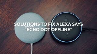 Why my Alexa App Says Echo is Offline? Solutions to fix it