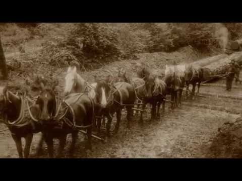 Simpson Lumber "The Last Log."