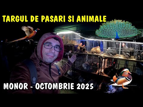 Viața la țară 👍Târgul de păsări și animale de la Monor 🕊 Octombrie 2025 🐓 Ungaria