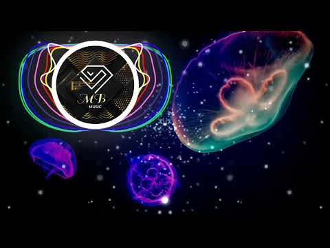 Basixx feat. G Curtis - I'm Just an Accident Waiting to Happen