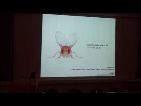 IMBB Seminar - Ayse YARALI, September 30th 2016 @ 12:00