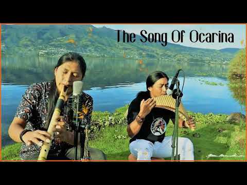 Raimy Salazar Greatest Hits - The Best Song Of Raimy Salazar 2022 - Collection Pan Flute Song 2022