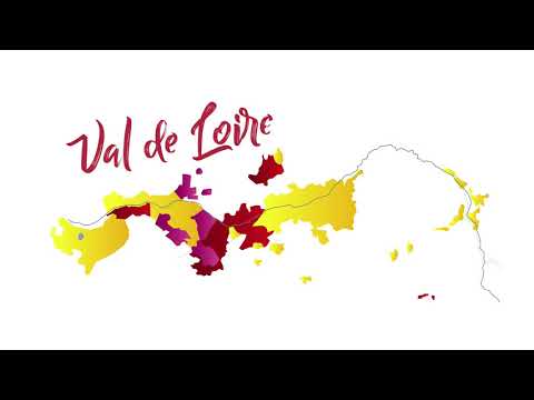 Loire Valley Wines in 120 Seconds