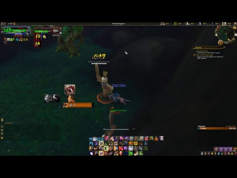 Feral druids in 8.0/Battle for Azeroth pre patch.