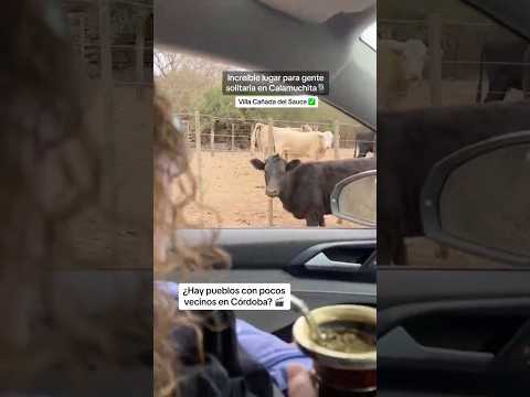 BUSCANDO TERRENOS EN CÓRDOBA. Llegamos hasta Villa Cañada del Sauce, en lo profundo de las sierras.