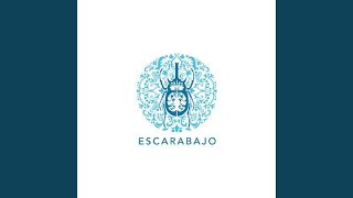 Escarabajo Music Video