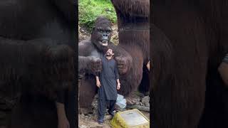 Download lagu DINO VALLEY |ISLAMABAD |DINOSAURS|PIRSOHAWA |MONAL RESTAURANT mp3