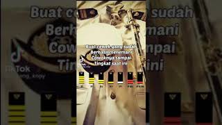 Download lagu Dasar pangkat pelaut mp3