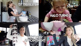 Halo’s 2nd BDAY! + new baby 1st trimester recap + bleeding scare