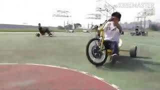 Позитива на целый день;))