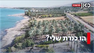 החוף של אבא שלו: המשפחות שמשתלטות על חופי הכינרת - ומשאירות לנו פירורים