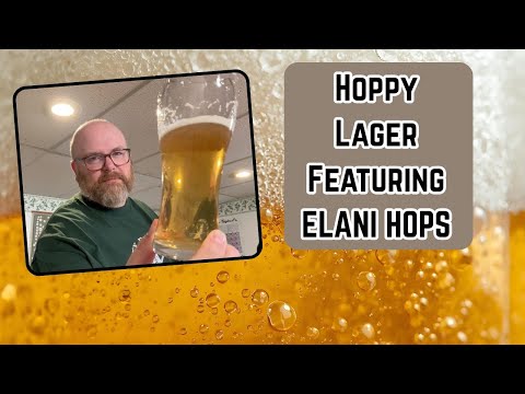 How Did This Fast Tracked Hoppy Lager Turn Out? - Brew Dudes