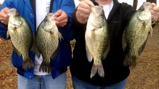 Fall Crappie Techniques on Lake Tenkiller