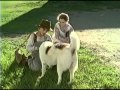 Opening To Lady And The Tramp 1998 VHS