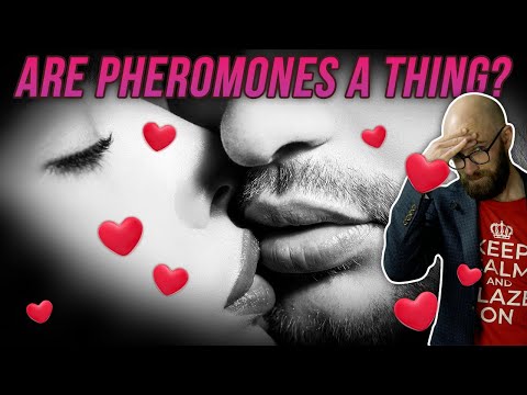 Do Humans Have Pheromones?