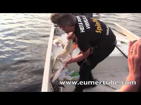 Suurhauen kalastusta kesähelteellä - Hauenkalastus - Kalastus - Spintube - Eumer