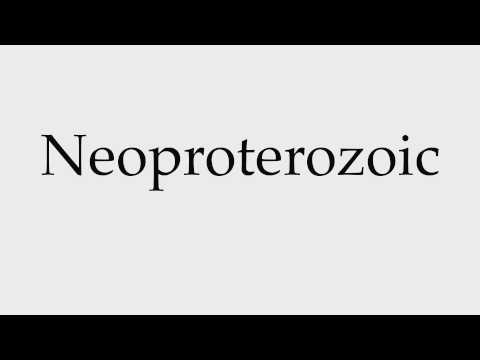 How to Pronounce Neoproterozoic
