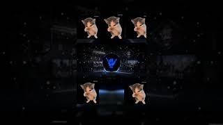 Download lagu DJ KICAU KICAU KICAU MANIA SLOW VIRAL TIKTOK TERBARU 2026 mp3 Download lagu DJ KICAU KICAU KICAU MANIA SLOW VIRAL TIKTOK TERBARU 2026 mp3