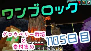 【１１０５日目】ワンブロックでハードコアな世界を生き残る
