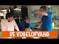 Vogels verzorgen in de Ecomare | DierenpraatTV