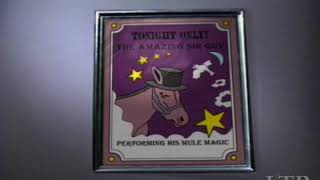 Teach Your Mules Amazing Things - Magic Show