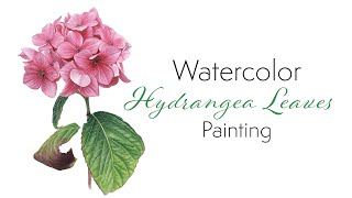 How to paint watercolor Hydrangea leaves 🌺 painting tutorial 🍀 mixing your own greens