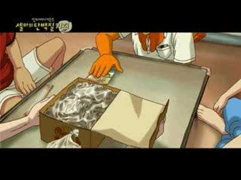 Indie Ani Box : 셀마의 단백질 커피 예고편