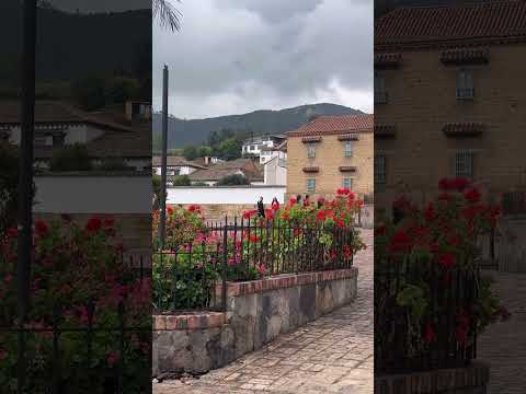 Bienvenidos a Mongui