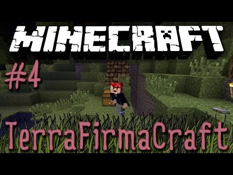 Minecraft: TerraFirmaCraft - Episode 4