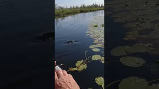 You probably wouldn&#39;t want to soak your Feet in this water!