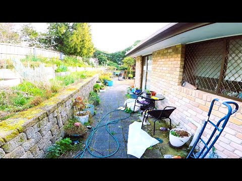 This Backyard Was BURIED under Years of NEGLECT!