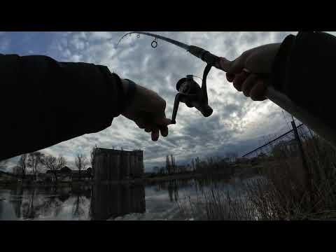 Best fishing spots in Srbobran-Turija