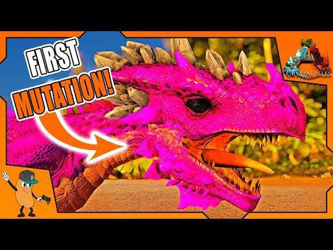 FINISHING BREEDING PEN & FIRST WYVERN MUTATION!  | ARK Crystal Isles DLC | EP14