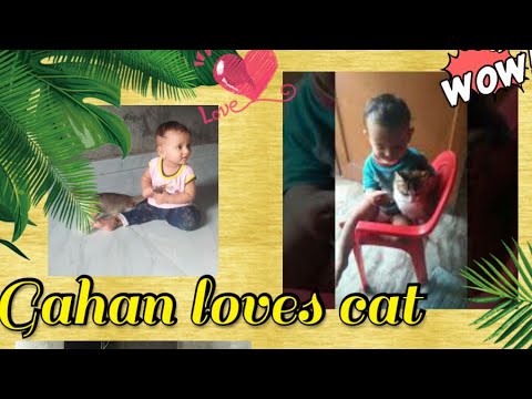 Gahan loves 💕👀💕cats #VaishnaviGahan