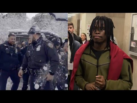 Man Allegedly Part Of Massive NYC Snowball Fight Appears in Court