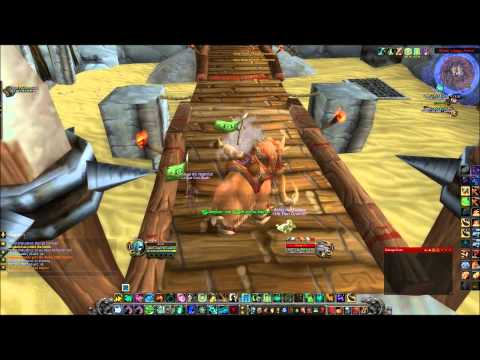 lvl 90 WindWalker Monk PvP 2v2 arenas