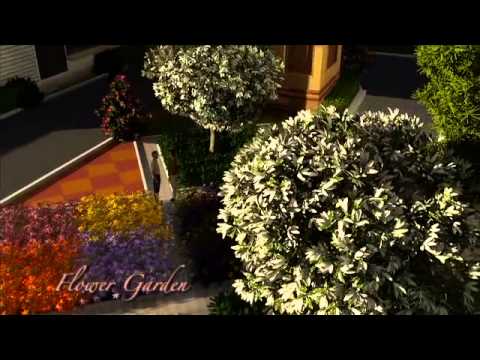 Walkthrough Walkthrough