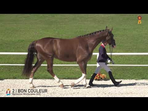 2 Bon Couleur v. Bon Coeur - Rivero II *MARBACHER WOCHENENDE 2020*