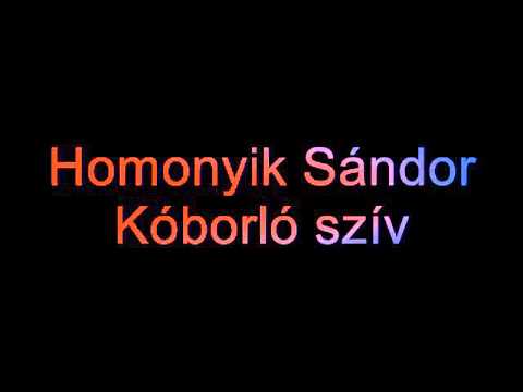 Homonyik Sándor - Kóborló szív (lyrics)