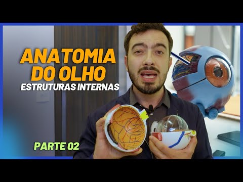 ANATOMIA DO OLHO - [PARTE 2] l Estruturas Internas