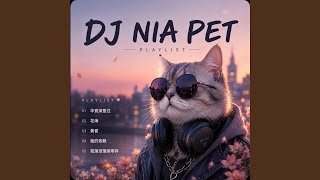 Download lagu 黄昏 (DJ NIA PET Remix ) mp3 Download lagu 黄昏 (DJ NIA PET Remix ) mp3