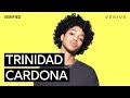 Trinidad Cardona Dinero Official Lyrics Meaning Verified