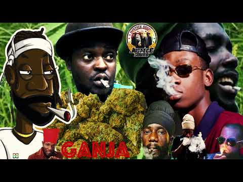 🌱 Ganja | Herbs | Marijuana  🌿| Weed | Cannabis | Reggae Ganja Songs 🌿| Justice Sound