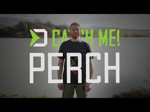 DELPHIN - Tričko Delphin CATCH ME! okoun