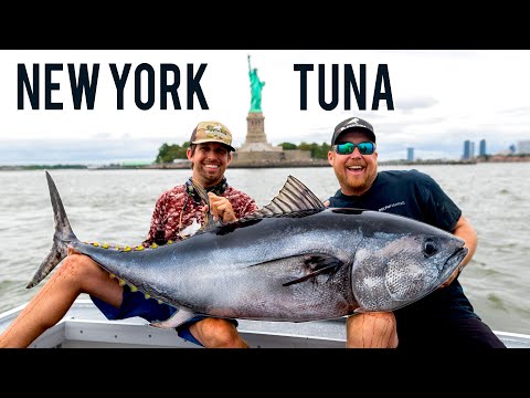 image-Can you catch fish in NYC?