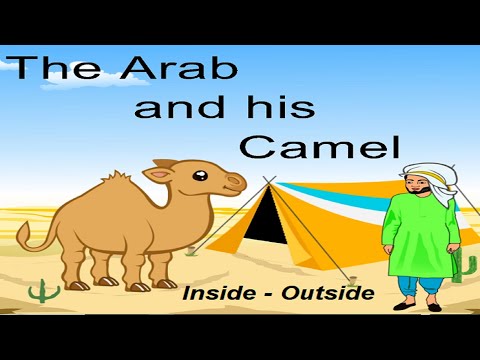 The arab and his camel