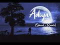 Bachelor Adiya