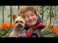 Gags De Chien Les Plus Drôles Compilation De Juste Pour Rire