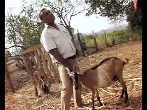 Rui De Betina - Kassu Body