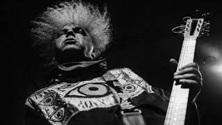 The Melvins - The Water Glass